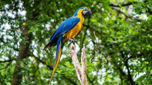 Guayaquil, Ecuador