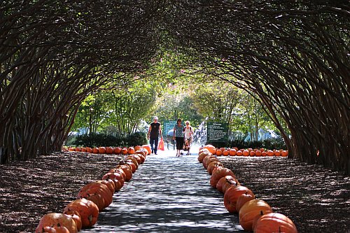 Arboretum in Dallas, Texas